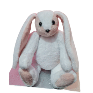 Personalized Bunny